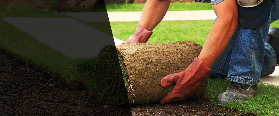 Northfield Landscapers